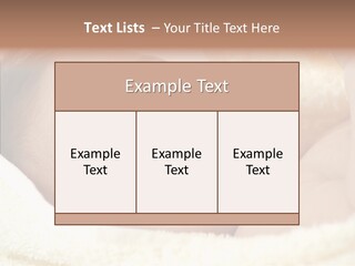 Human Character Company PowerPoint Template