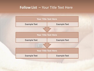 Human Character Company PowerPoint Template