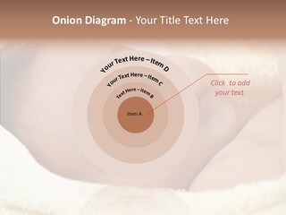 Human Character Company PowerPoint Template