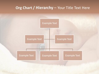 Human Character Company PowerPoint Template