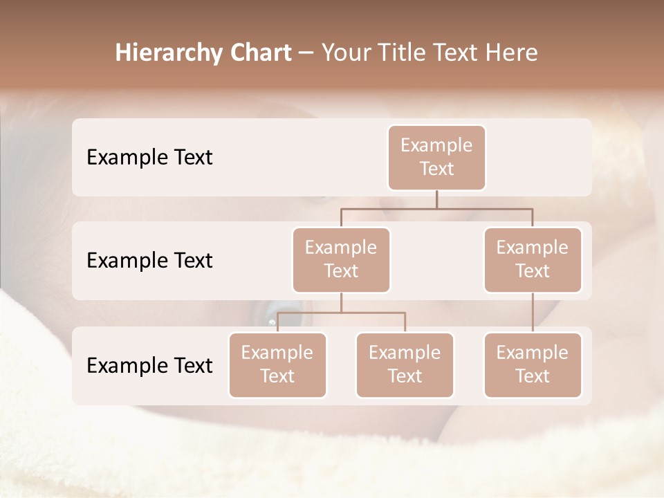 Human Character Company PowerPoint Template