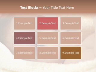Human Character Company PowerPoint Template