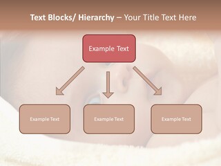 Human Character Company PowerPoint Template