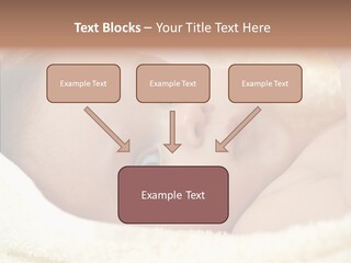 Human Character Company PowerPoint Template