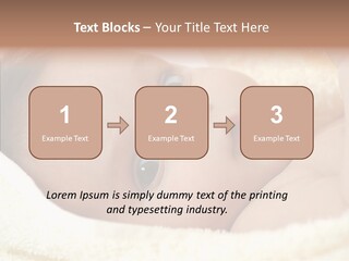 Human Character Company PowerPoint Template