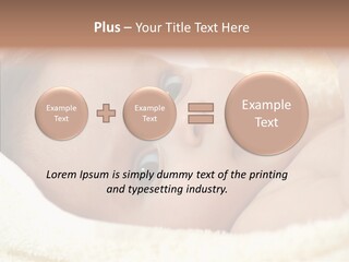 Human Character Company PowerPoint Template