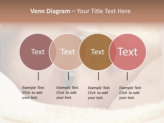 Human Character Company PowerPoint Template