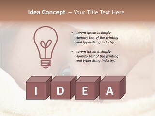 Human Character Company PowerPoint Template