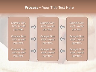 Human Character Company PowerPoint Template