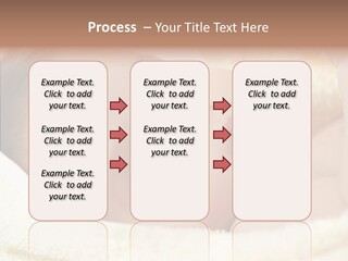 Human Character Company PowerPoint Template