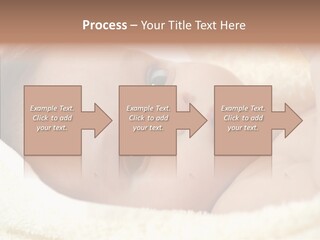 Human Character Company PowerPoint Template