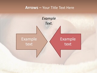 Human Character Company PowerPoint Template