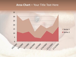 Human Character Company PowerPoint Template