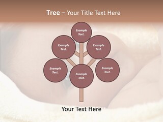 Human Character Company PowerPoint Template