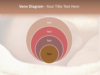 Human Character Company PowerPoint Template