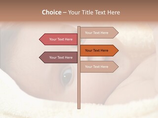 Human Character Company PowerPoint Template