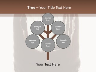 Humor Group Trategy PowerPoint Template