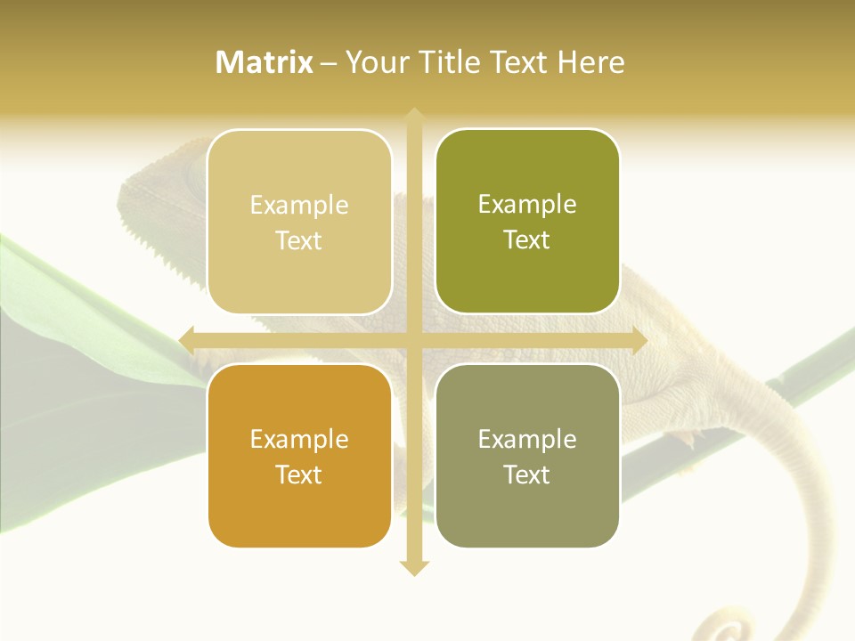 Summer Season Emotional PowerPoint Template