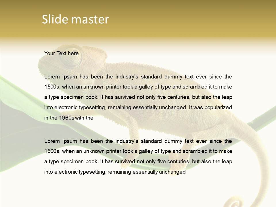 Summer Season Emotional PowerPoint Template