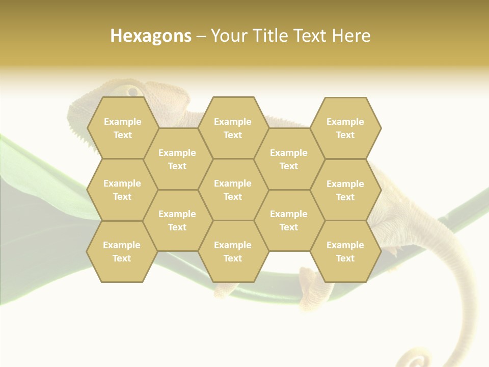 Summer Season Emotional PowerPoint Template