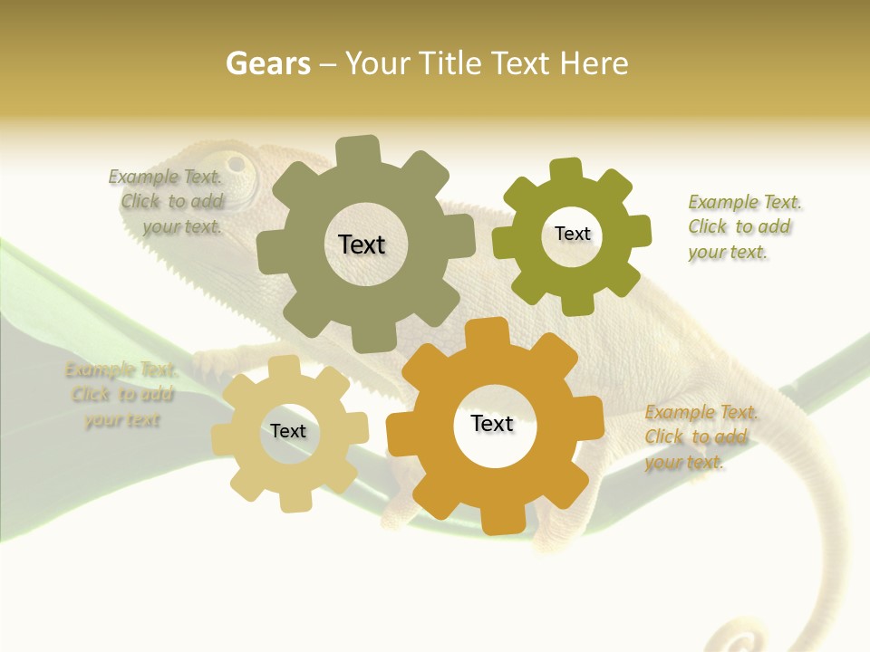 Summer Season Emotional PowerPoint Template