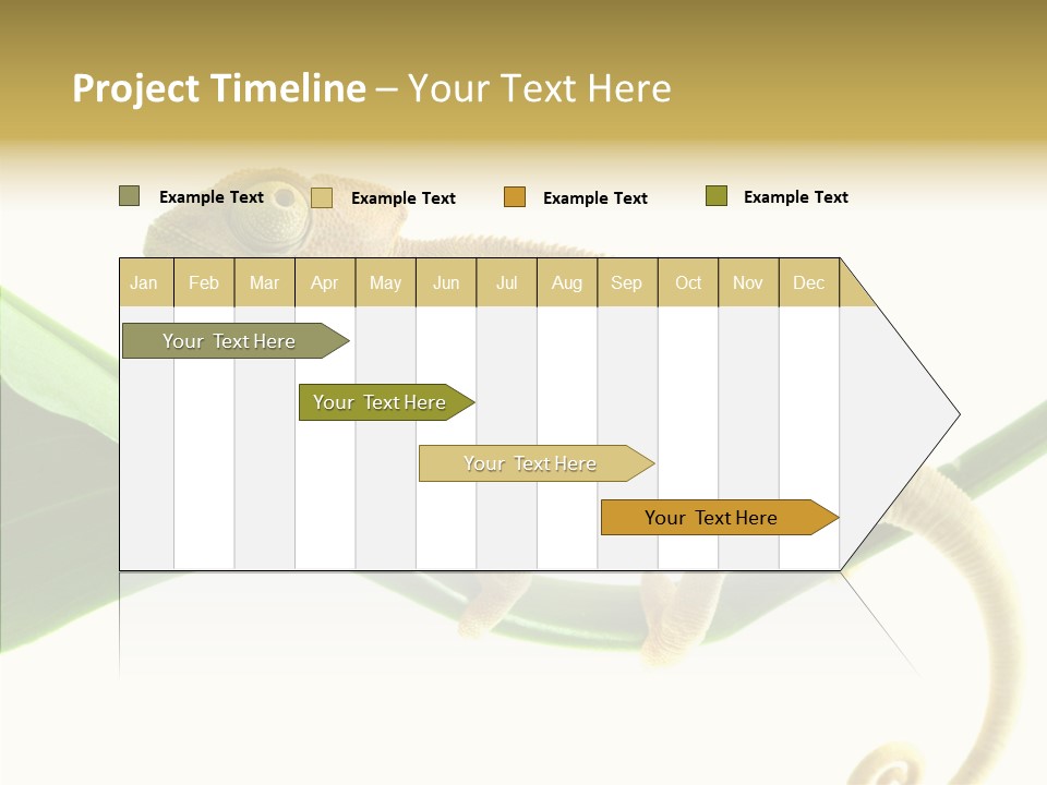 Summer Season Emotional PowerPoint Template
