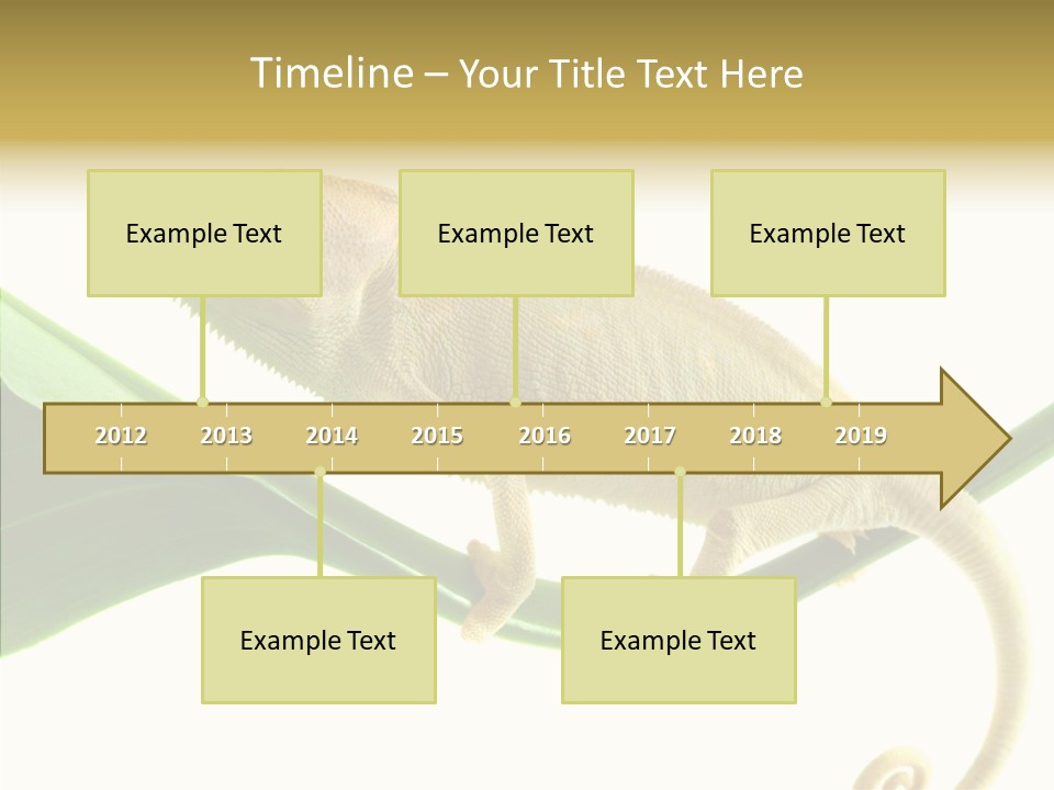 Summer Season Emotional PowerPoint Template