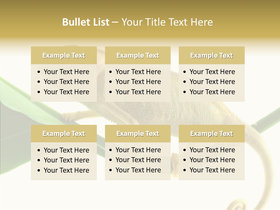 Summer Season Emotional PowerPoint Template