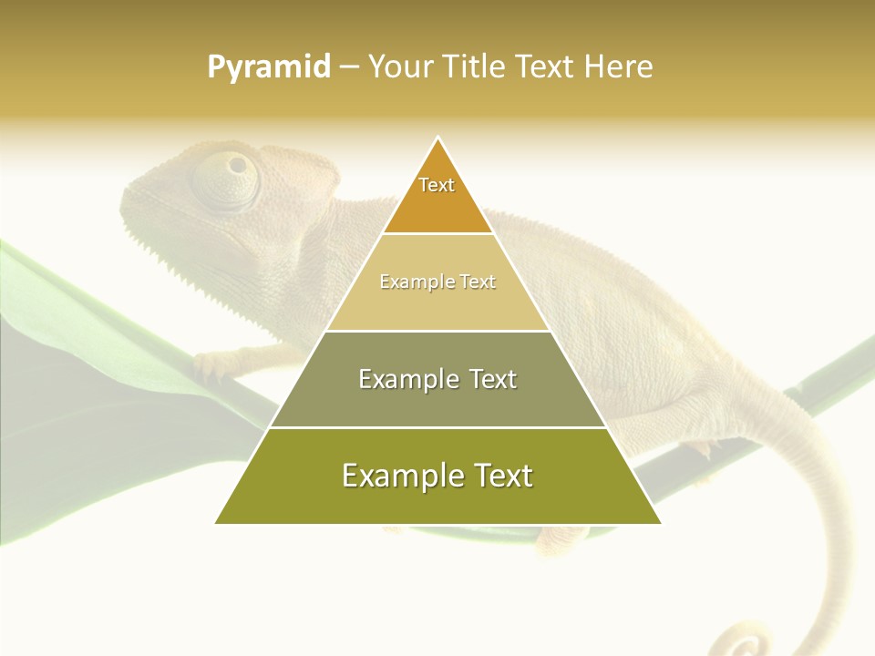 Summer Season Emotional PowerPoint Template