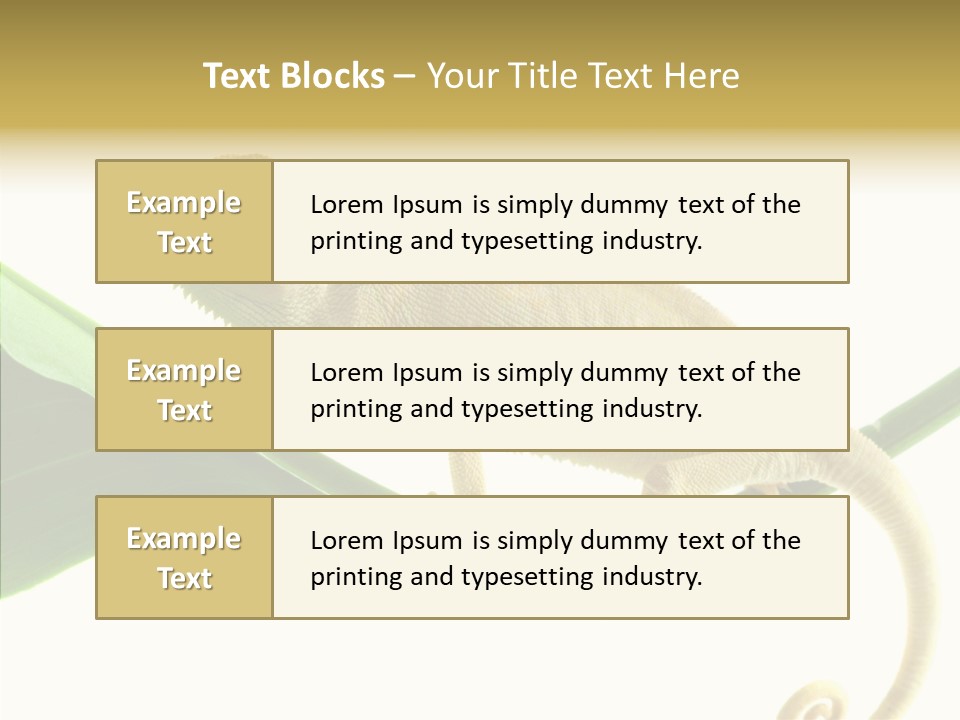 Summer Season Emotional PowerPoint Template