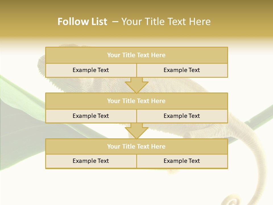 Summer Season Emotional PowerPoint Template