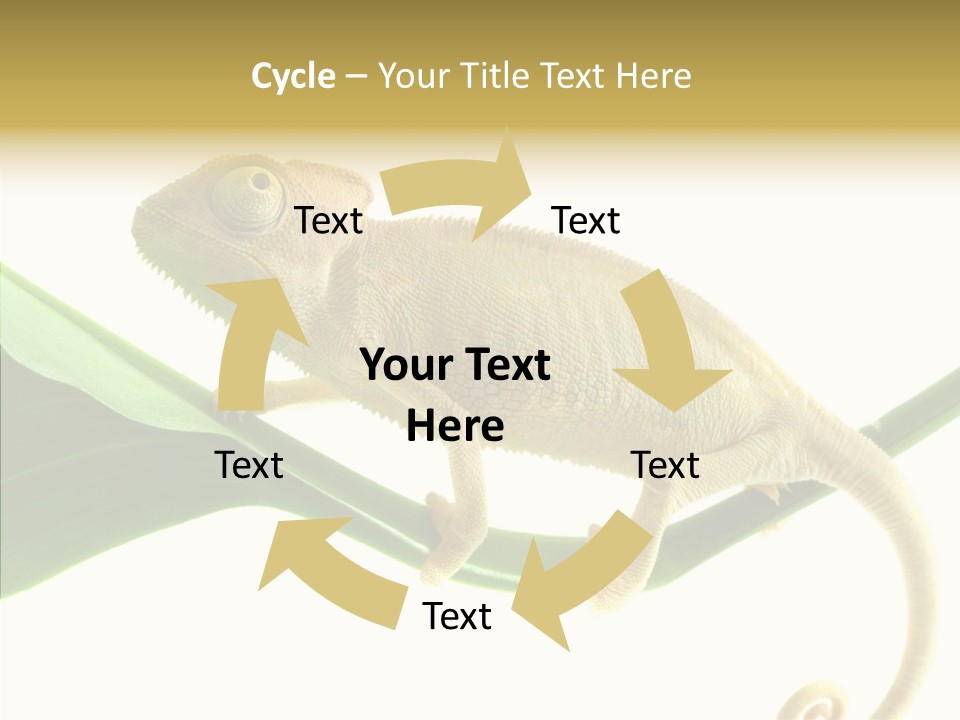 Summer Season Emotional PowerPoint Template