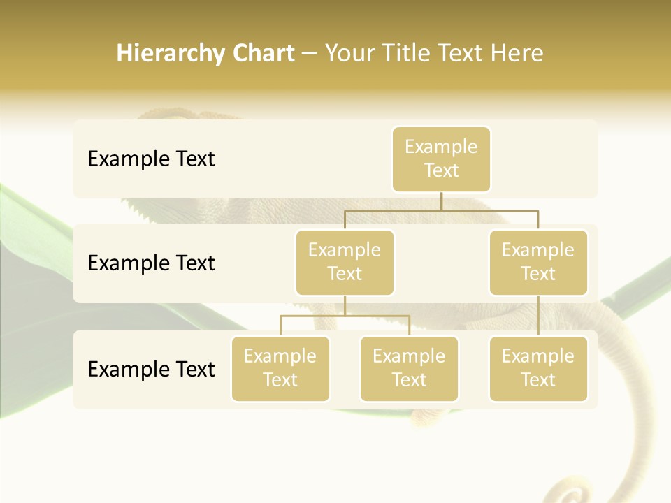 Summer Season Emotional PowerPoint Template