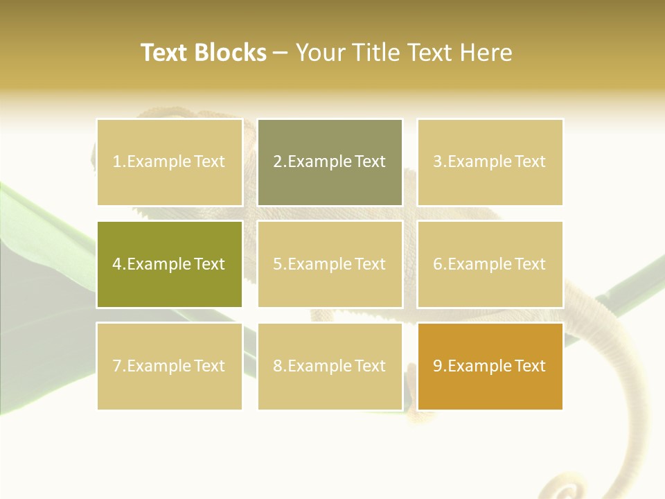 Summer Season Emotional PowerPoint Template