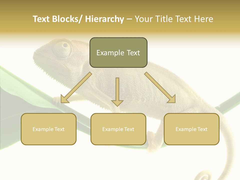 Summer Season Emotional PowerPoint Template