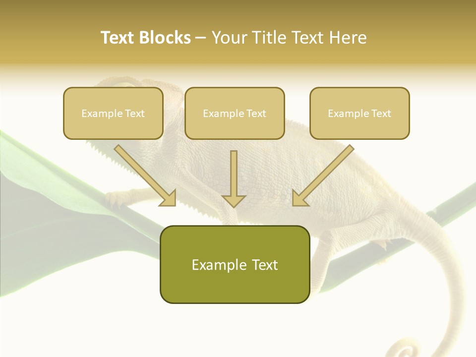 Summer Season Emotional PowerPoint Template