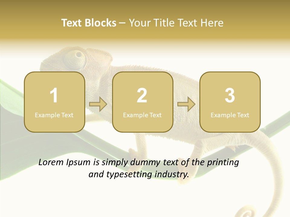 Summer Season Emotional PowerPoint Template