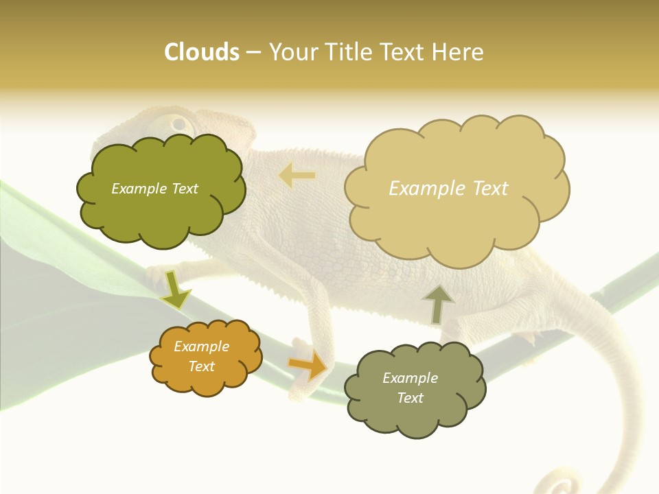 Summer Season Emotional PowerPoint Template