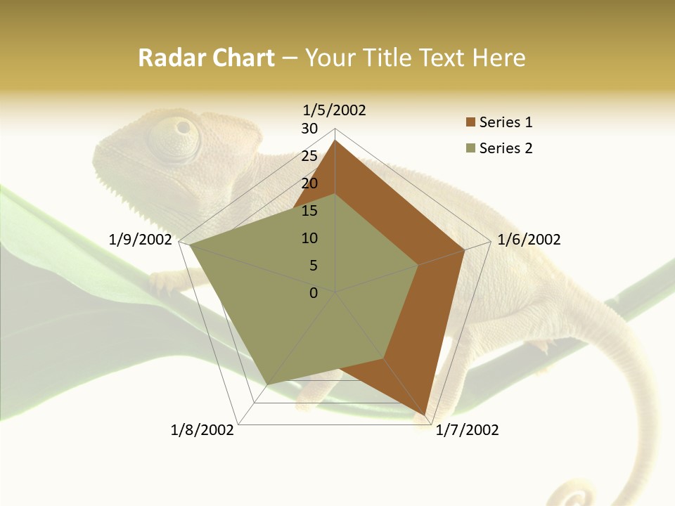 Summer Season Emotional PowerPoint Template