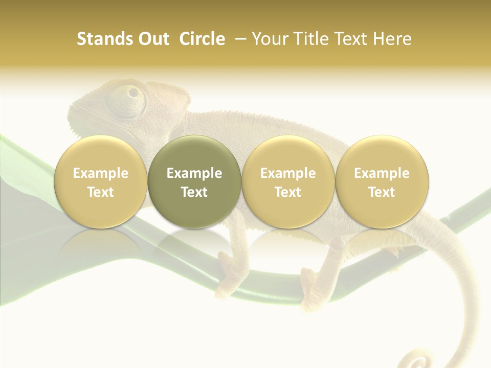 Summer Season Emotional PowerPoint Template