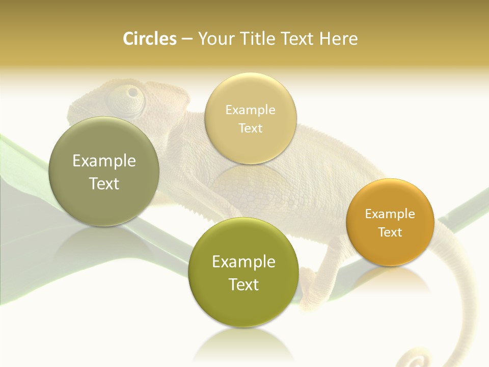 Summer Season Emotional PowerPoint Template