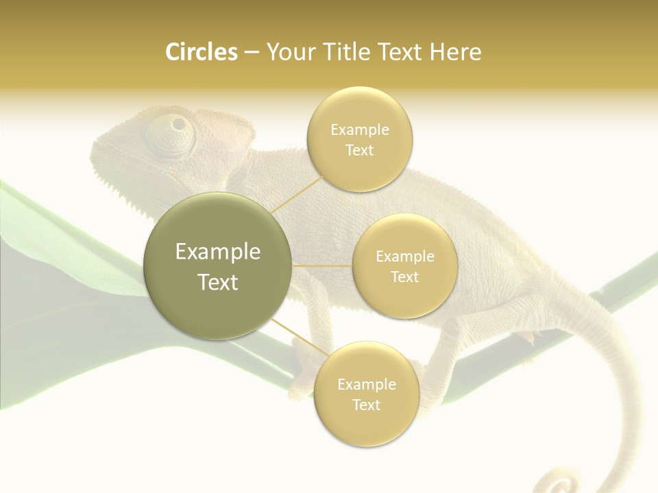 Summer Season Emotional PowerPoint Template