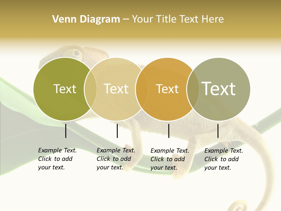 Summer Season Emotional PowerPoint Template
