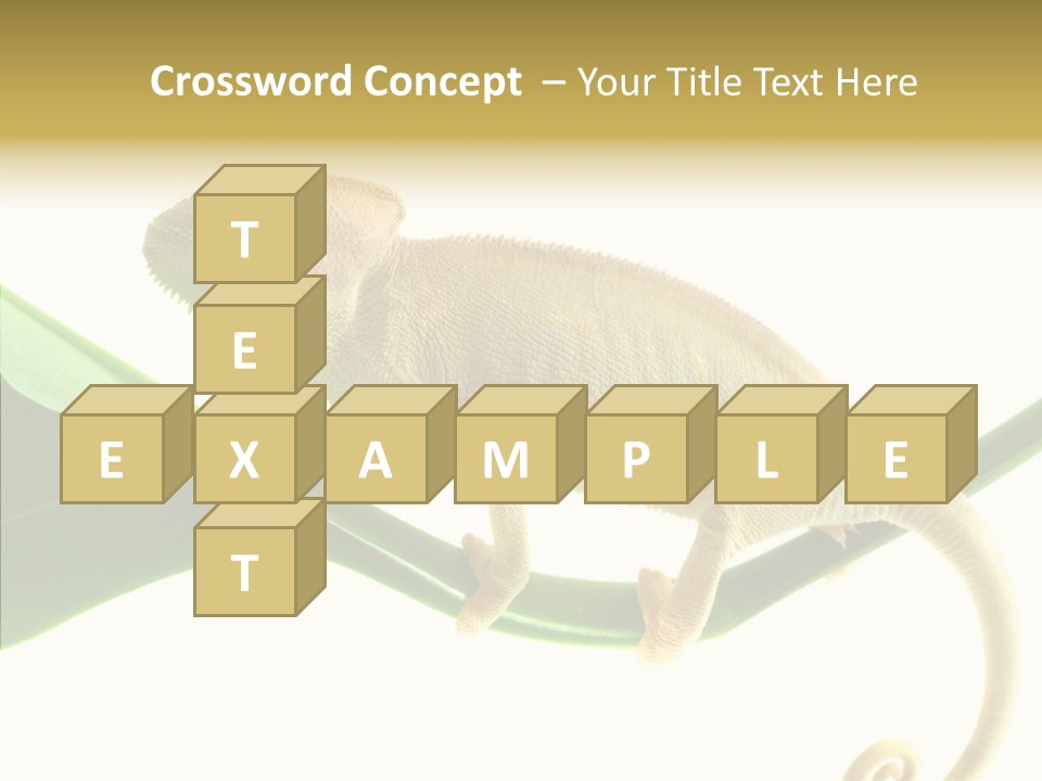 Summer Season Emotional PowerPoint Template