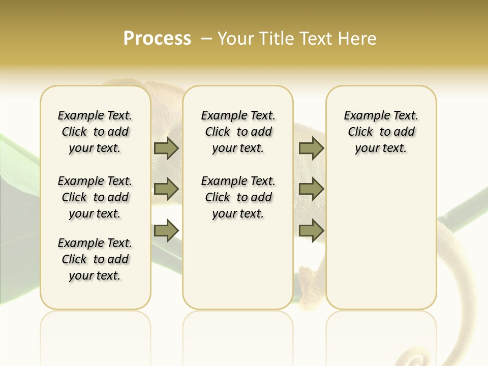 Summer Season Emotional PowerPoint Template
