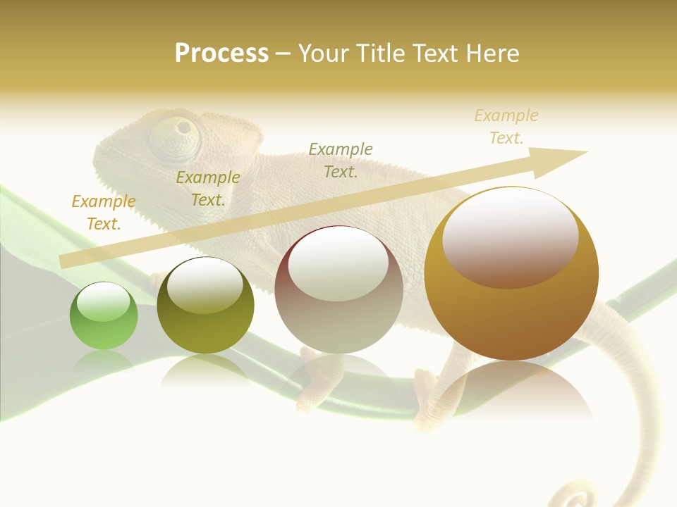 Summer Season Emotional PowerPoint Template