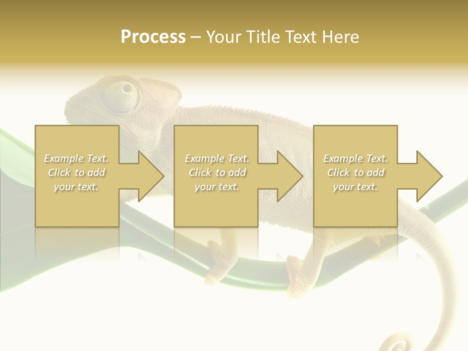 Summer Season Emotional PowerPoint Template