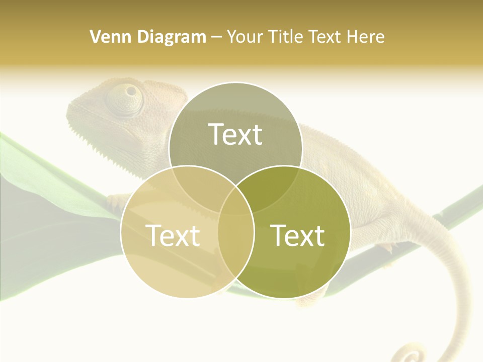 Summer Season Emotional PowerPoint Template