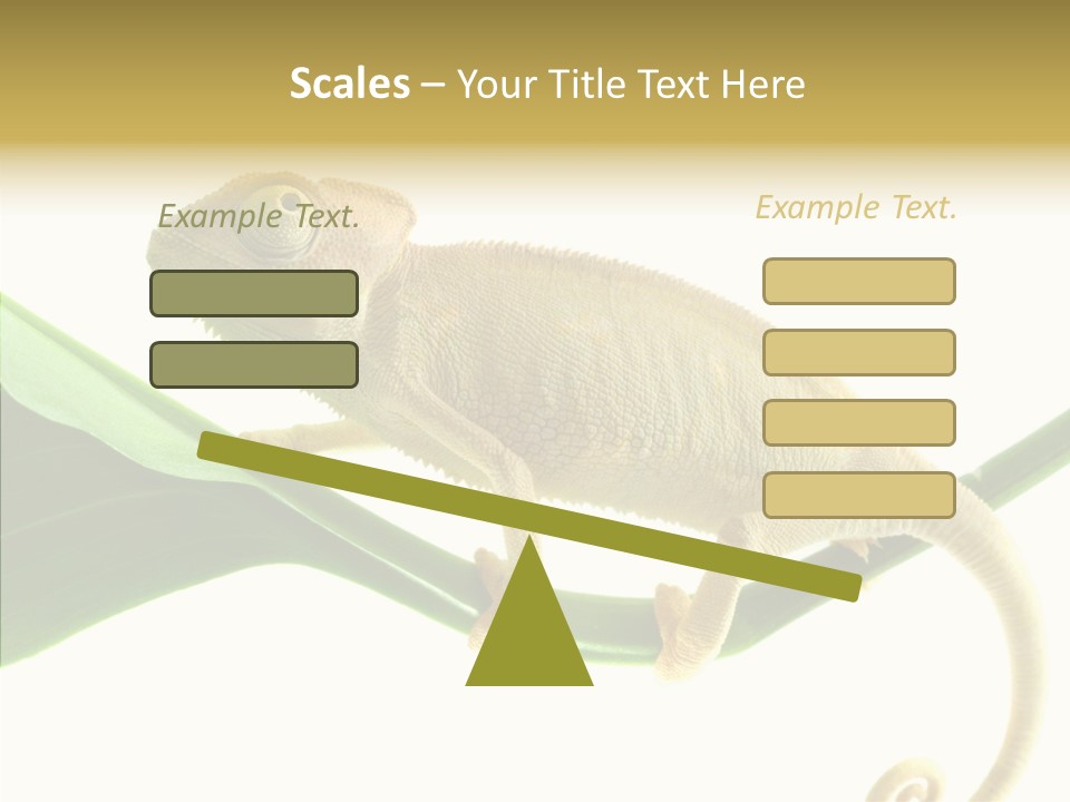 Summer Season Emotional PowerPoint Template