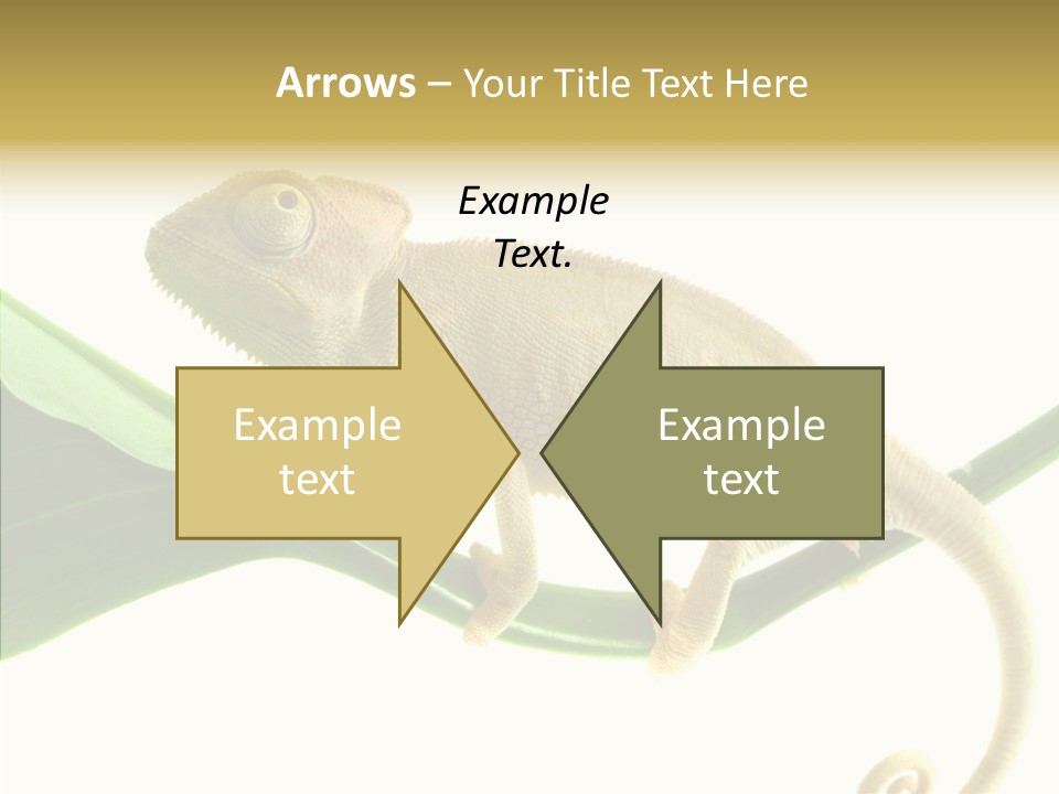 Summer Season Emotional PowerPoint Template